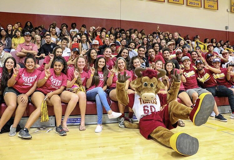 Event spring sports The CSUDH Bulletin