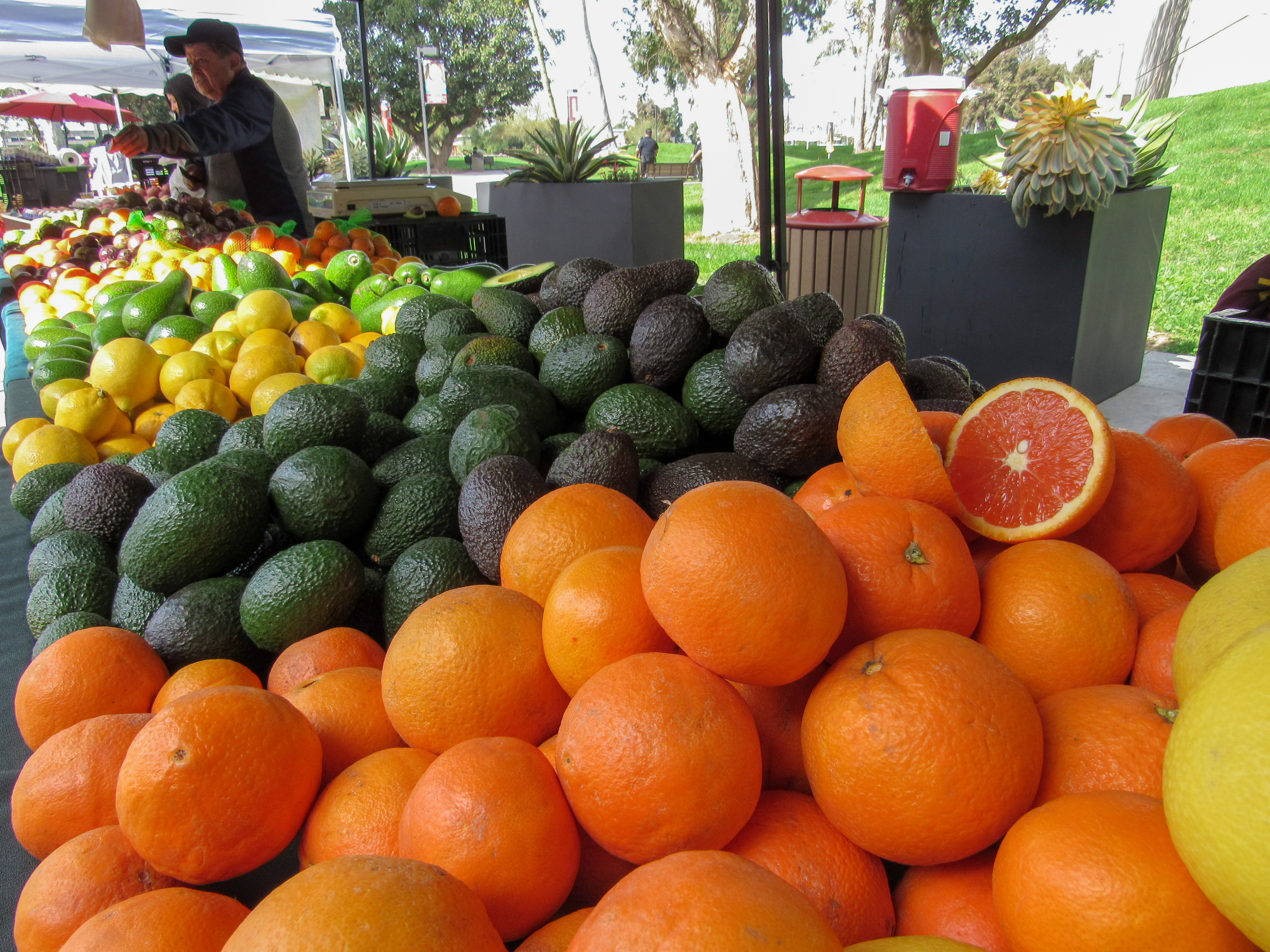 Farmers Market Makes Its Way To The CSUDH Campus