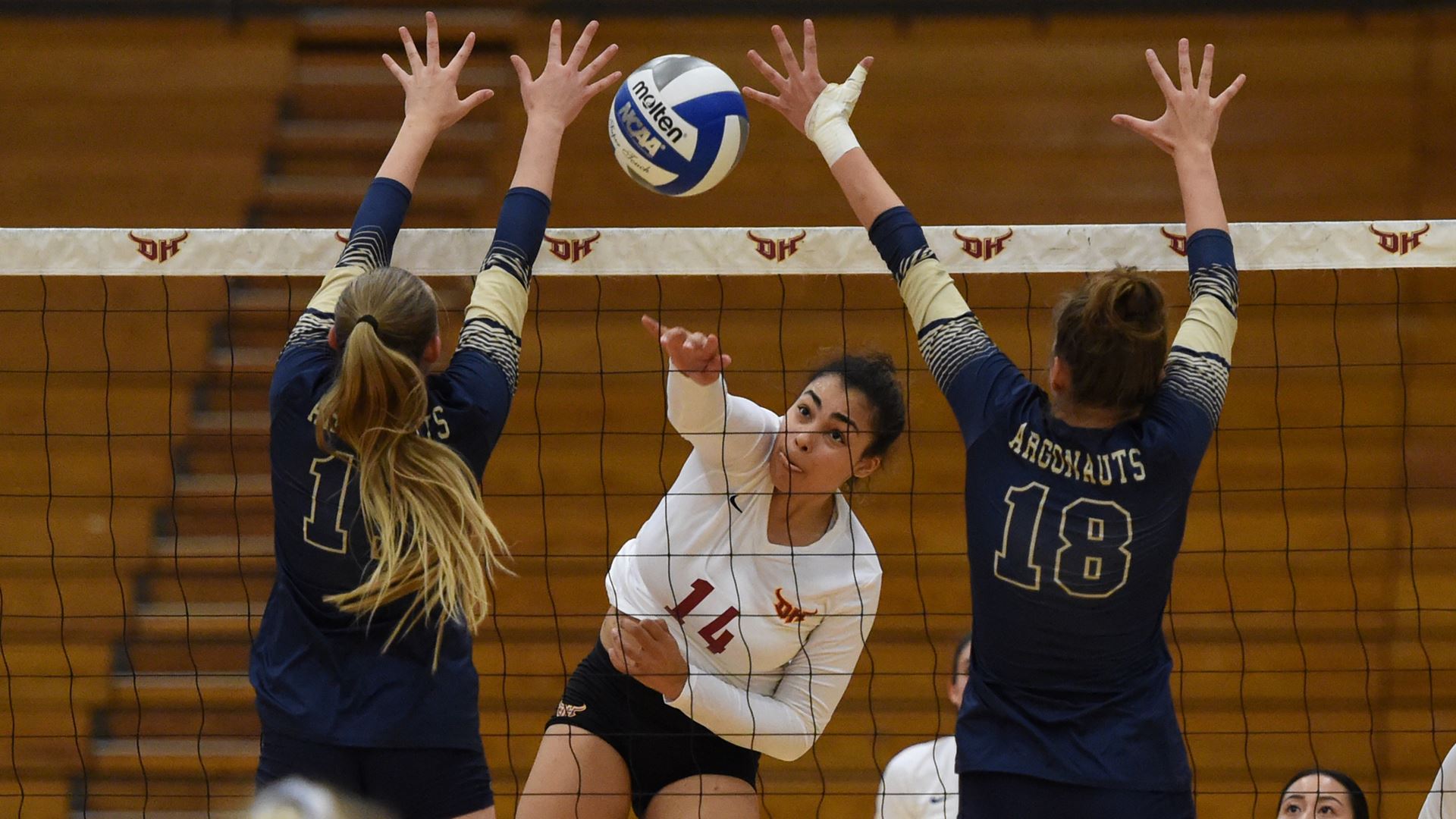 Major Challenge Faces Unbeaten Volleyball Team Tonight at Cal State LA