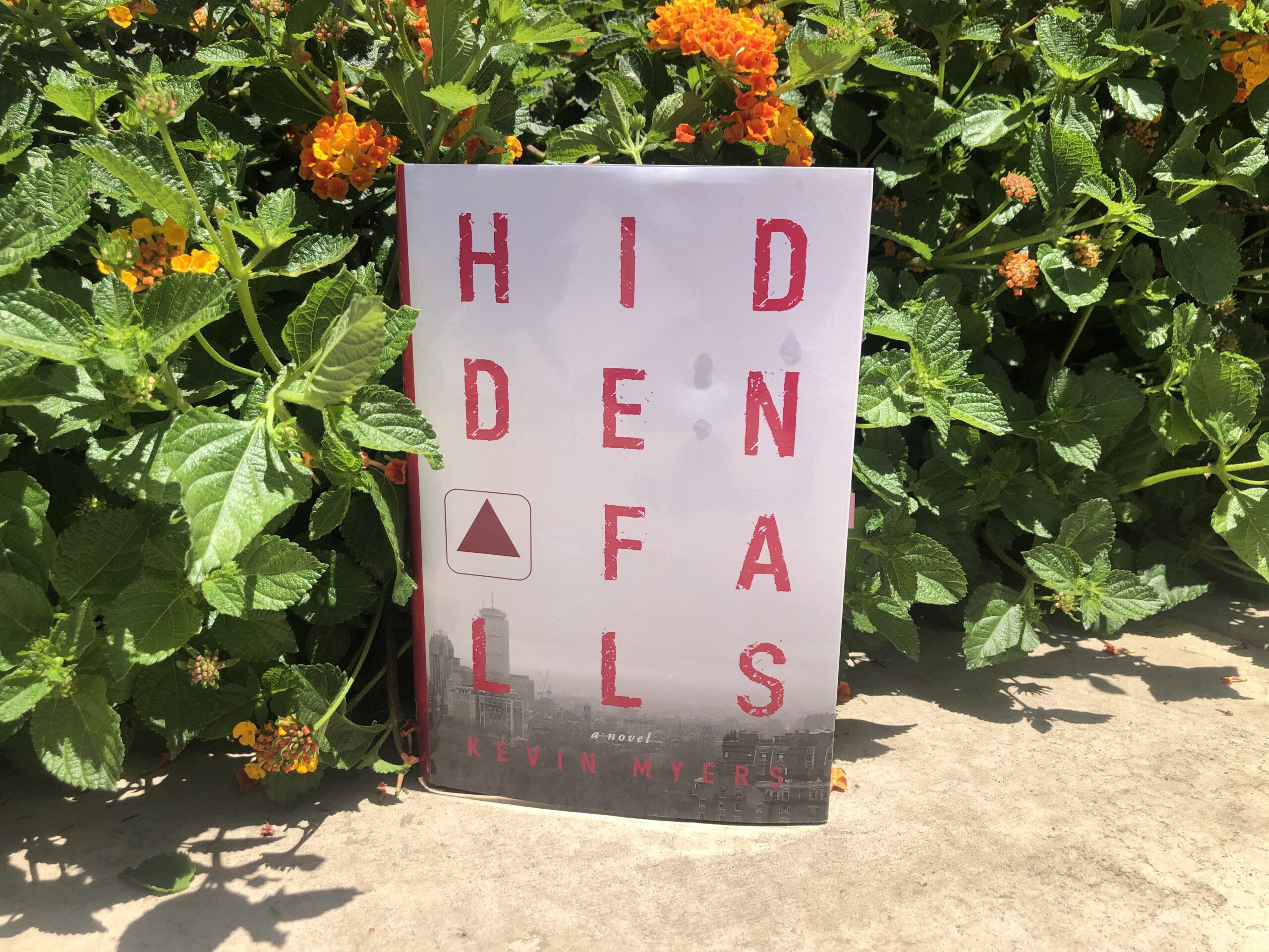Love, Loss, Family, and Dirty Money in “Hidden Falls”