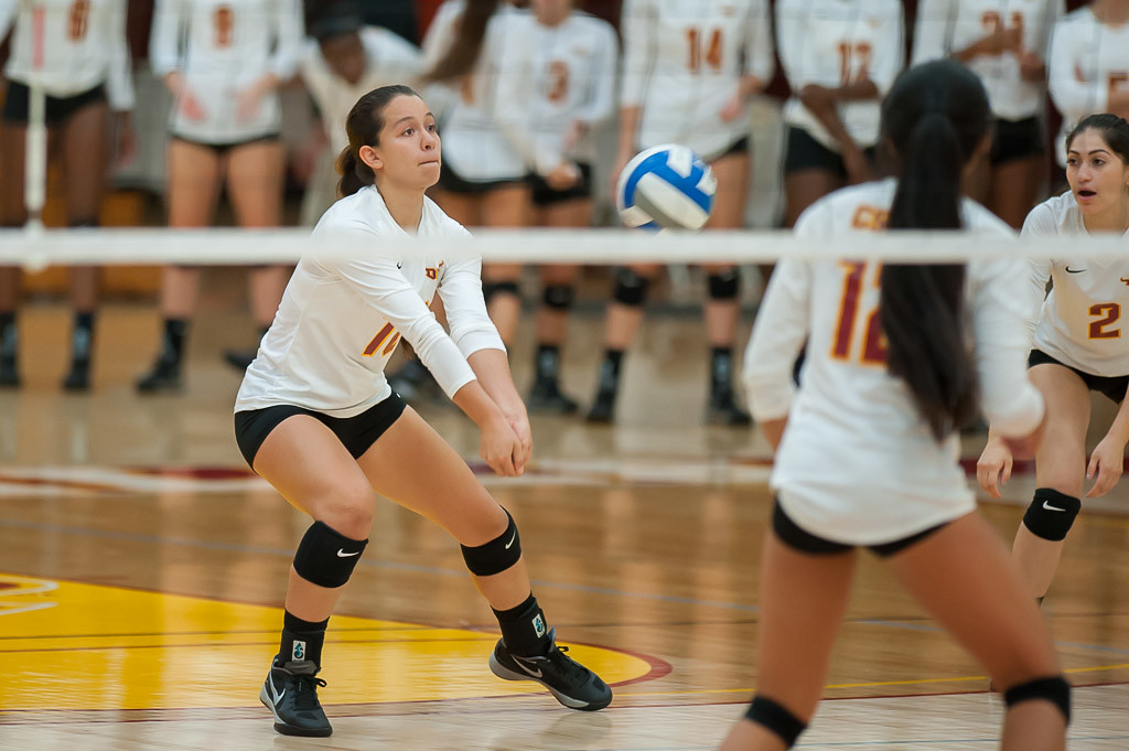 Toros Volleyball Ready to Flip the Odds