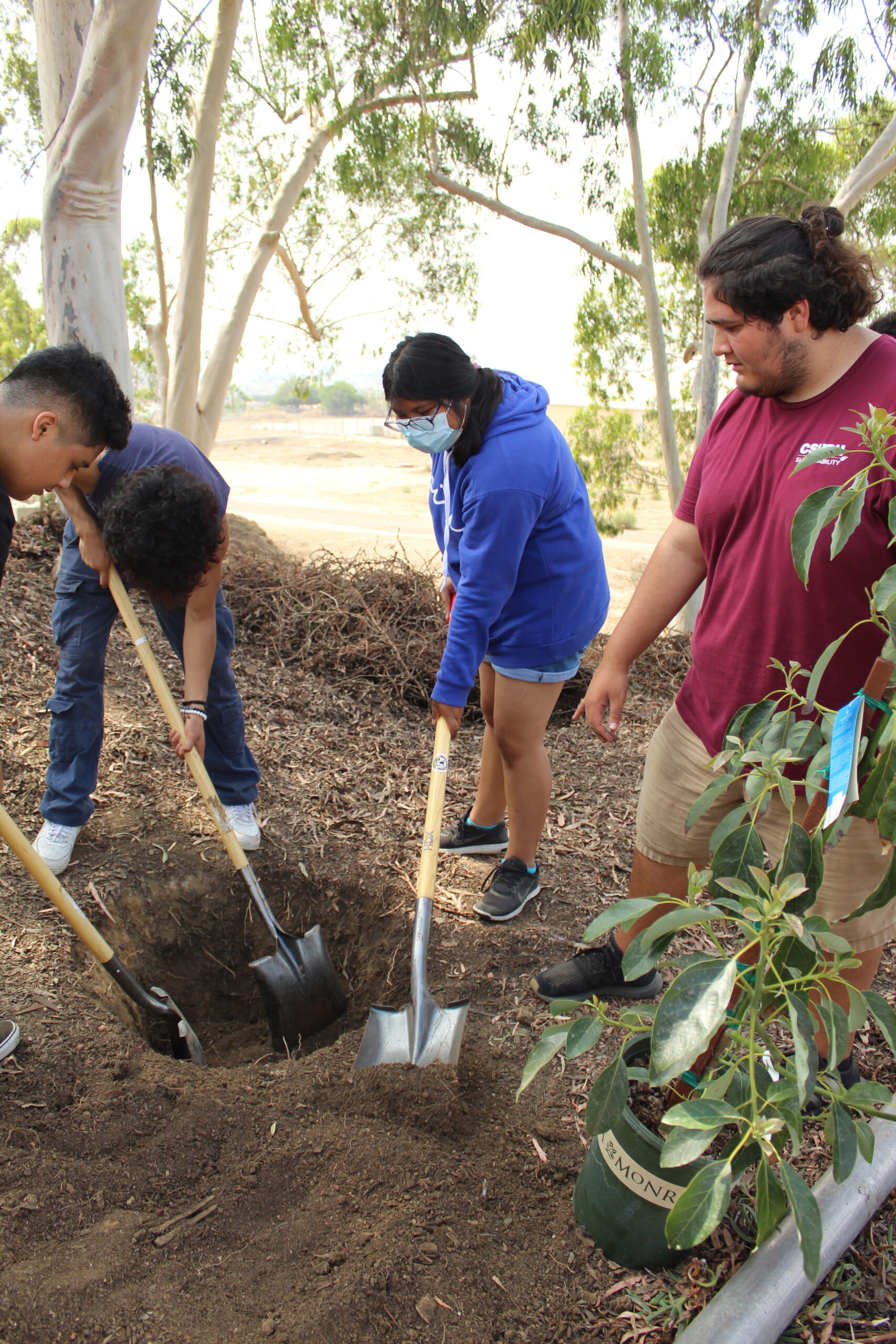 Tree Planting Party Teaches Students the Art of Gardening