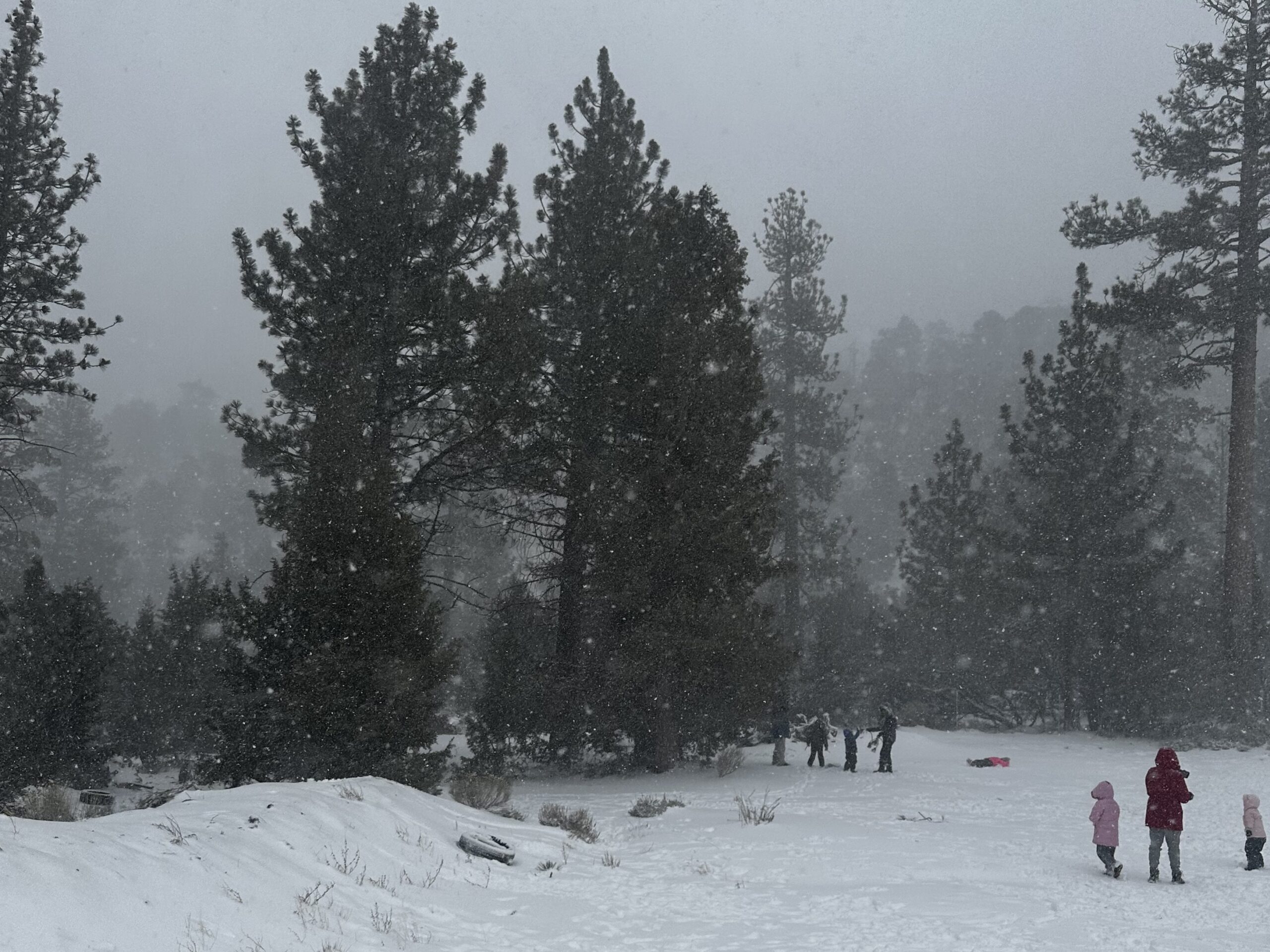 Drought-Stricken California Receives Water Supply From Snow