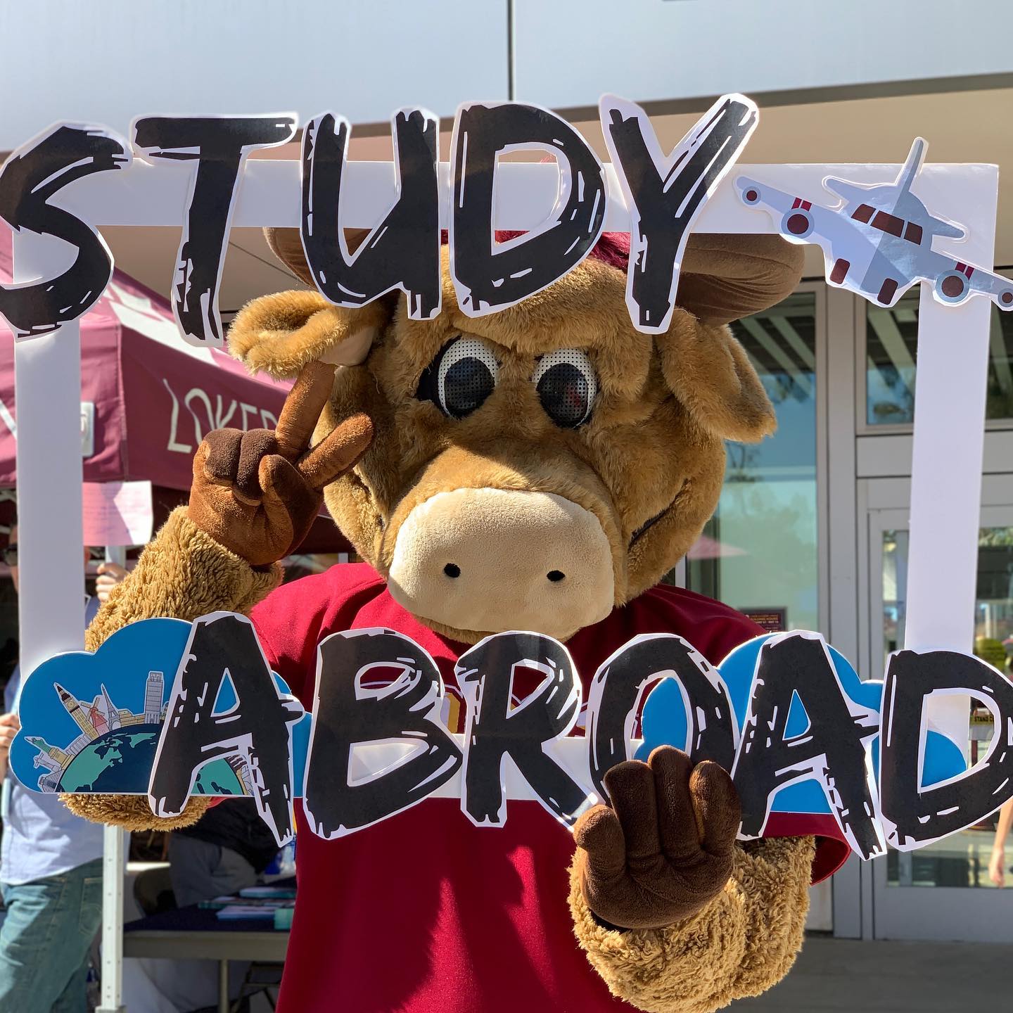 Person in a bull costume holding signs that say Study Abroad.