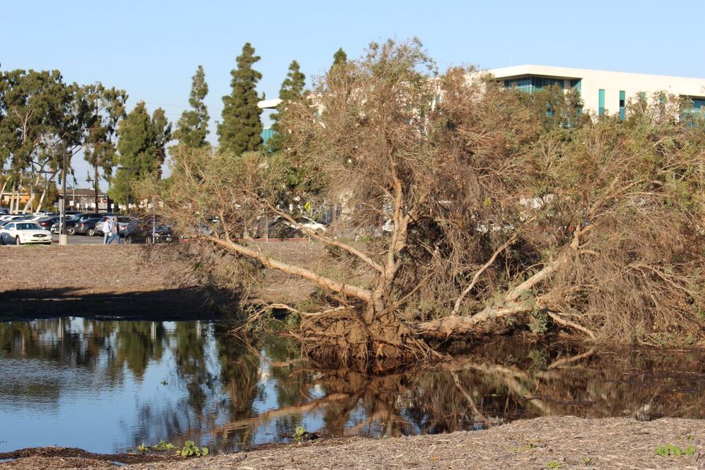 Winter rainfall eases the California drought.