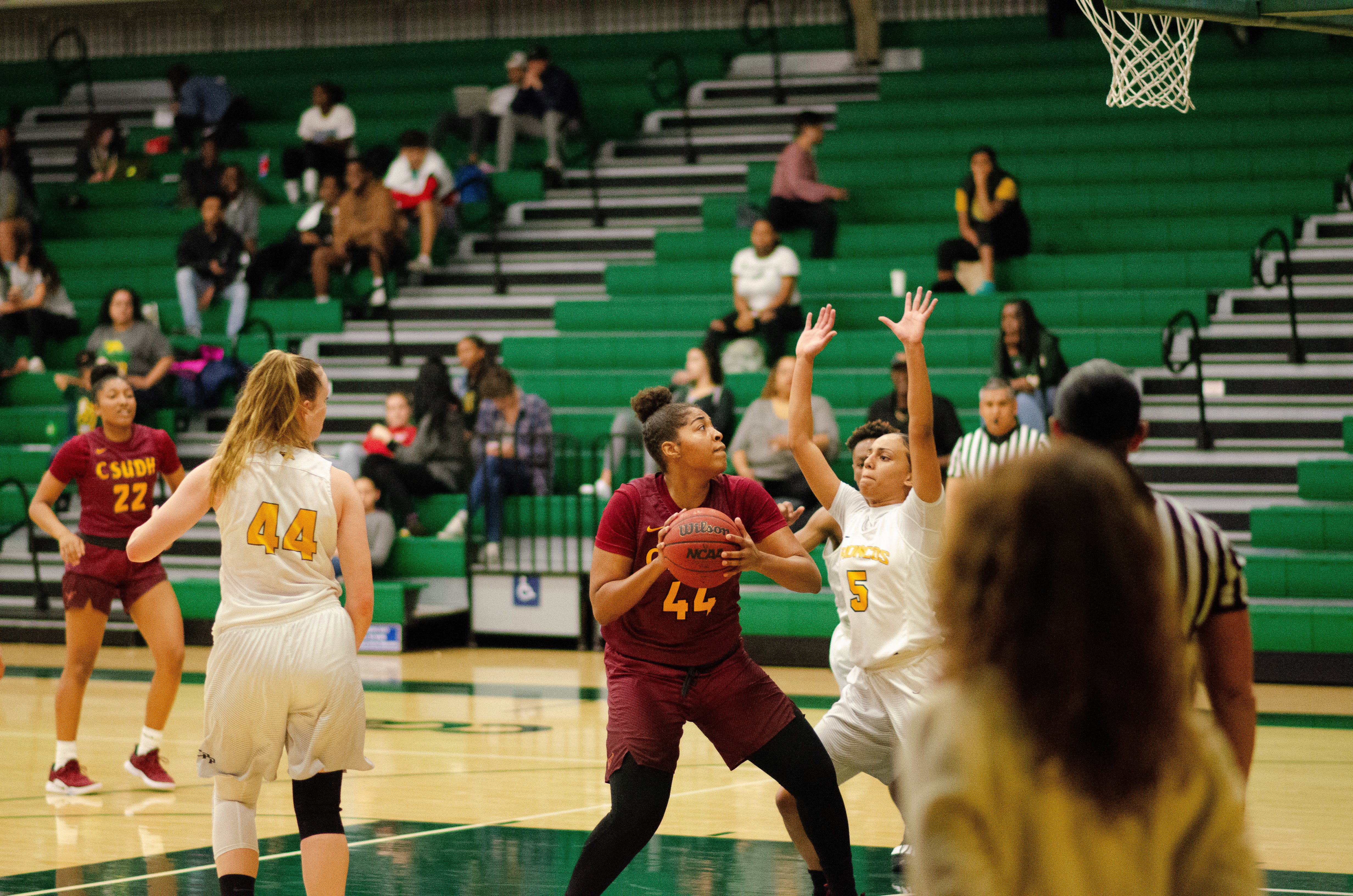Women’s Basketball Playoff Preview