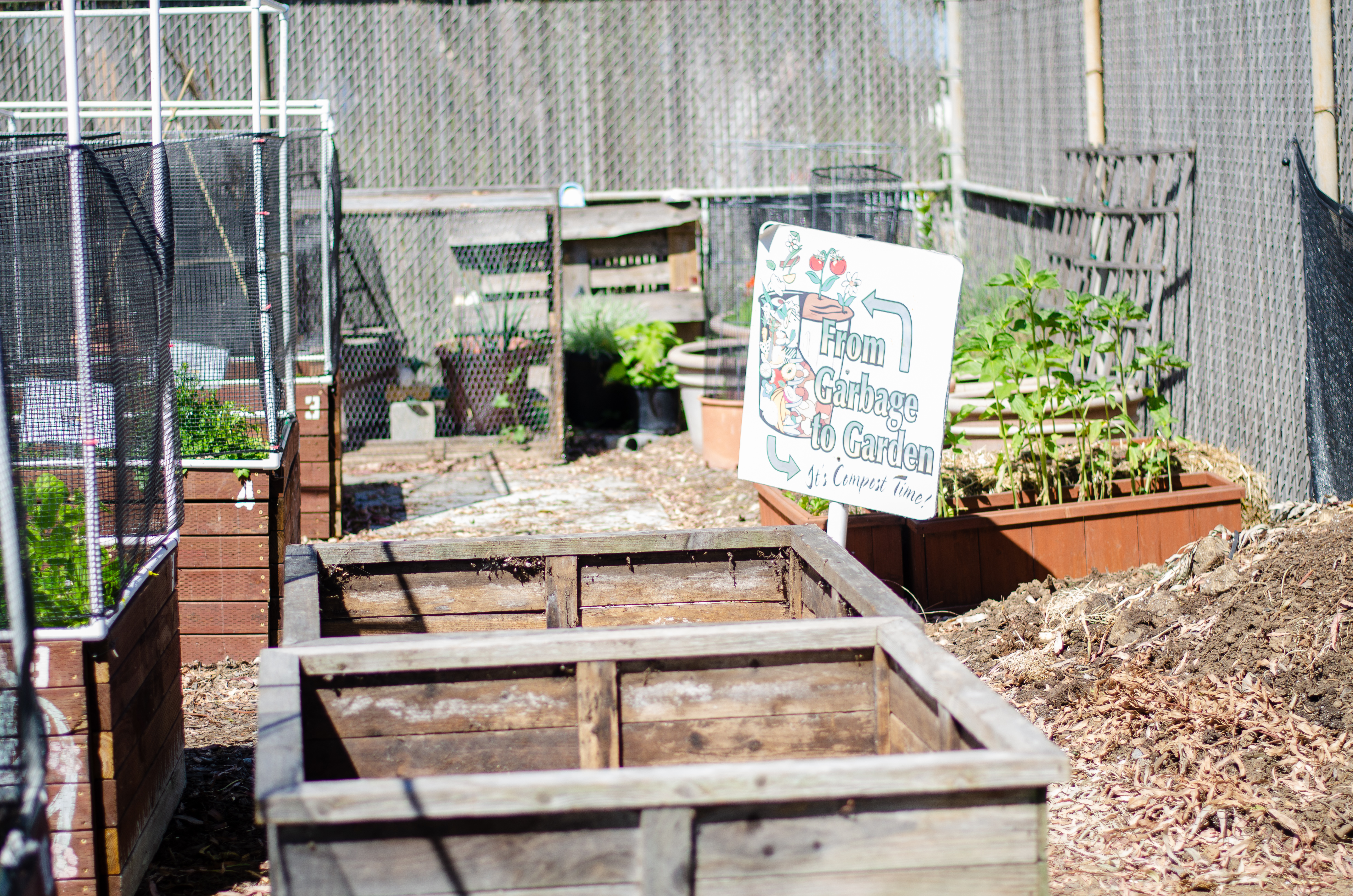 Urban Farm Growing Roots