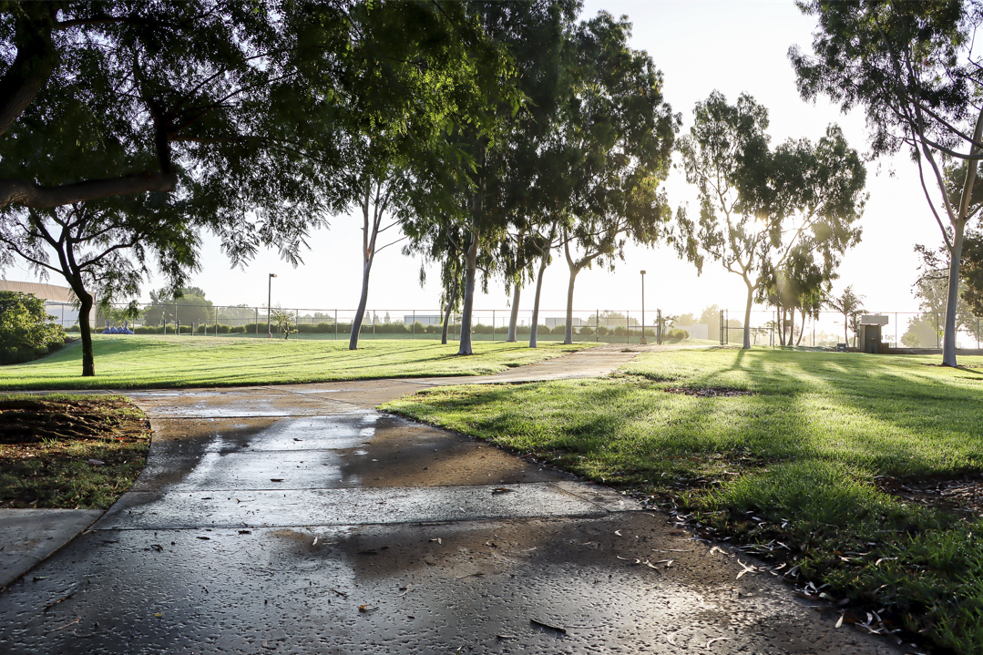 CSUDH: Safe Haven for Women of the Community