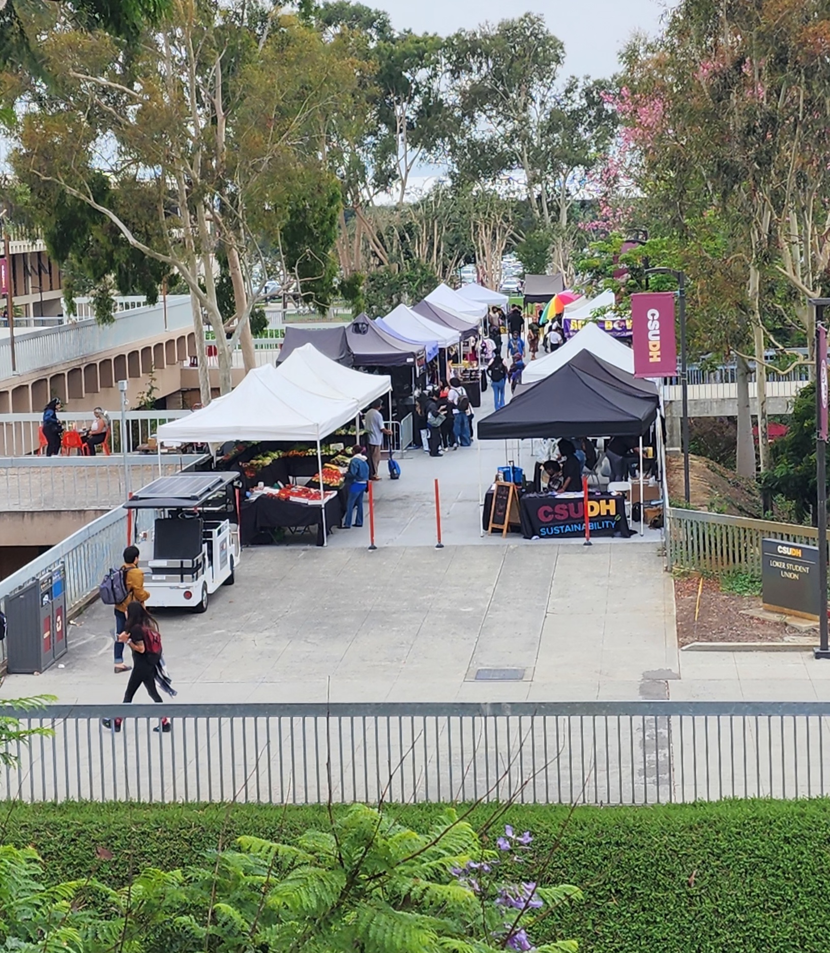 Photo of tents on the CSUDH campus.