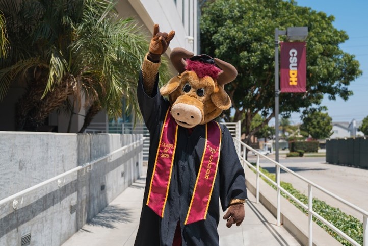 Photo of person in a cow costume in a graduation gown