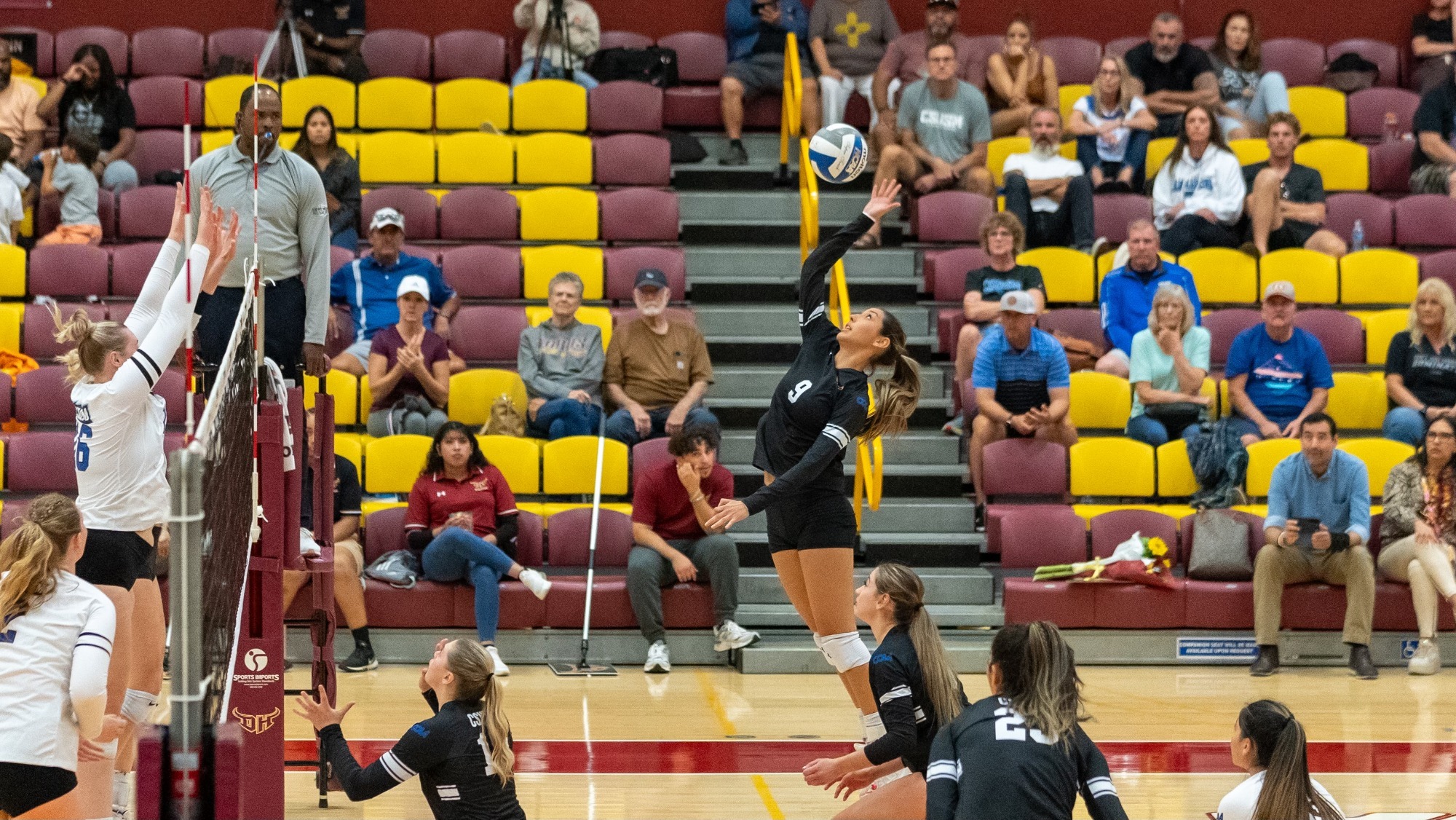 Photo of volleyball match in progress.