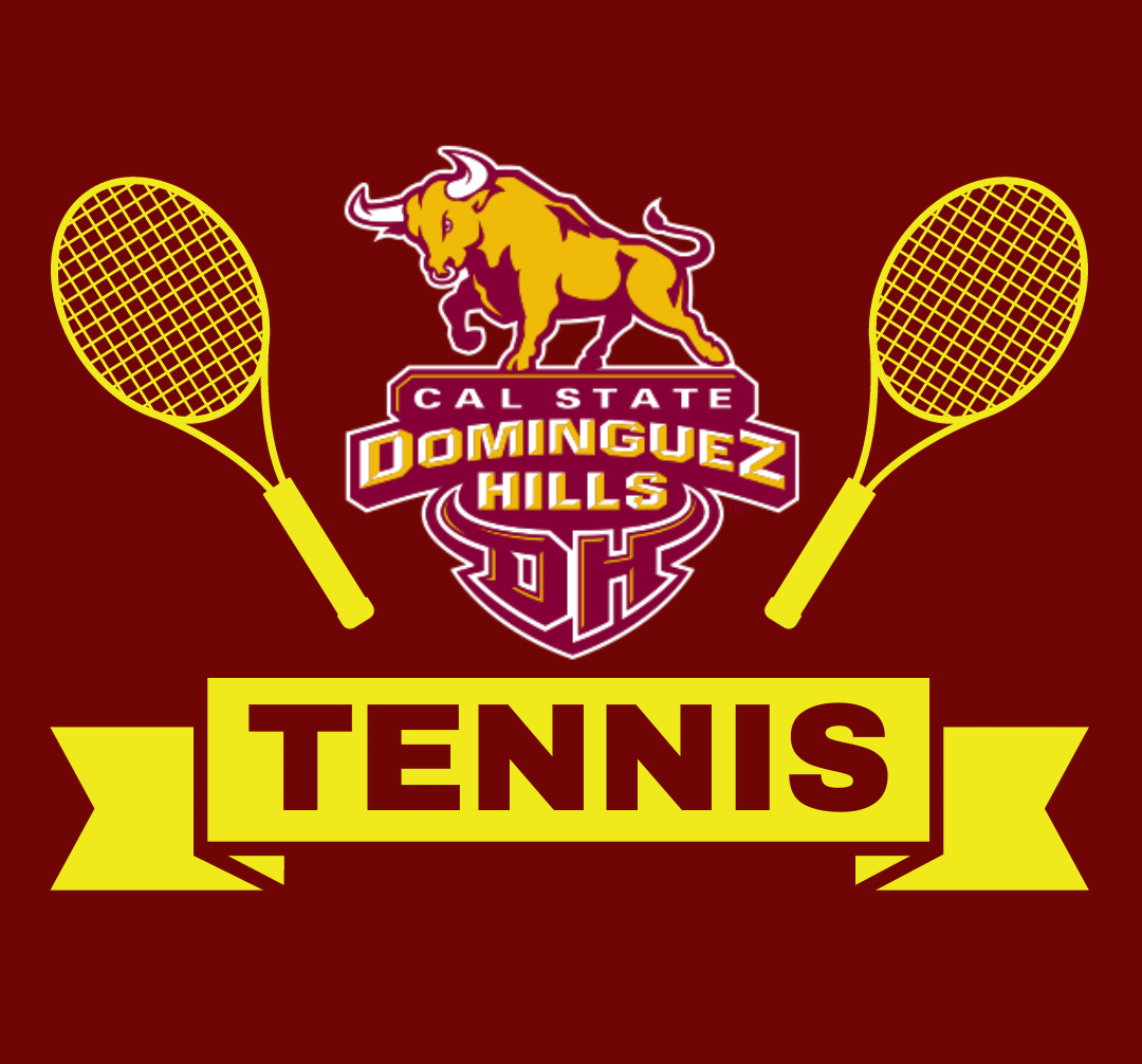 Digital graphic of the CSDH logo with two tennis rackets.