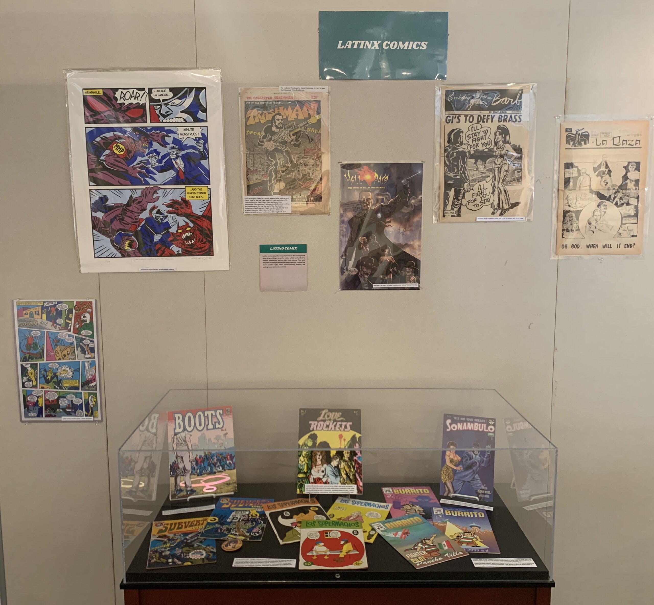photo of a display case of comics and zines.